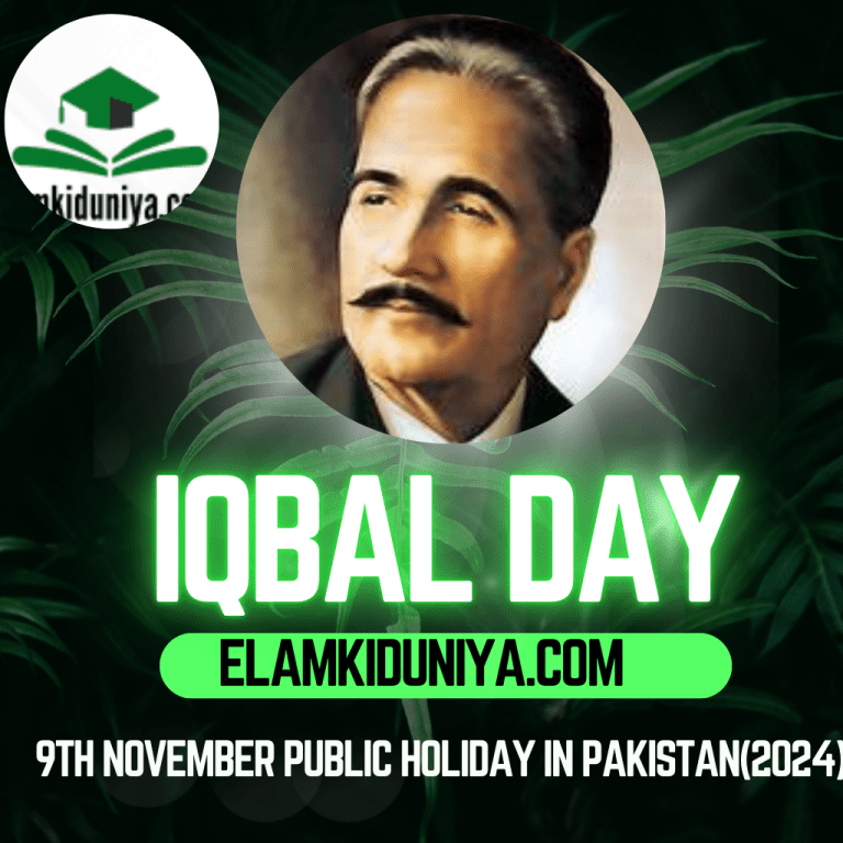 9th november public holiday in pakistan(2024)